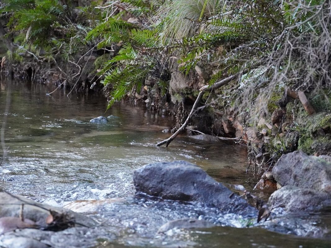 Sweeping Country River