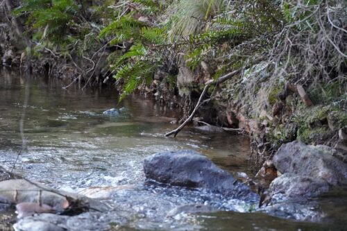 Sweeping Country River