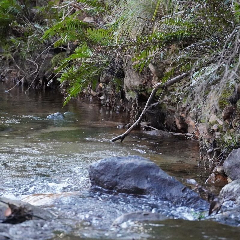 Sweeping Country River